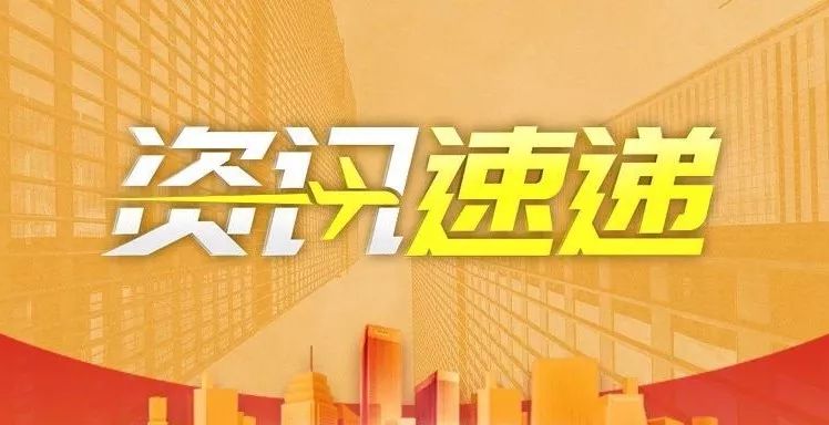 金丝阁全新资讯速递