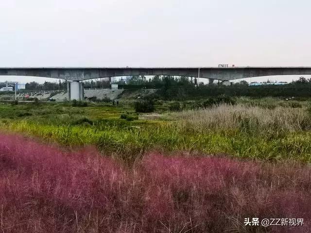 实时更新：晋焦高速公路最新交通状况一览